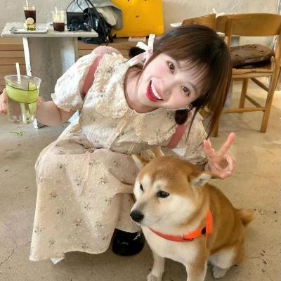 五尾狐