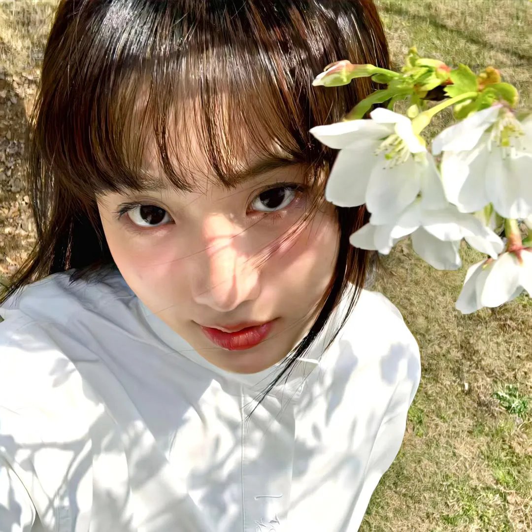 尼罗河上的惨案